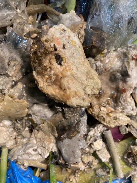 DrainFix HK 食肆隔油池挖出嘅蠔殼食物殘渣