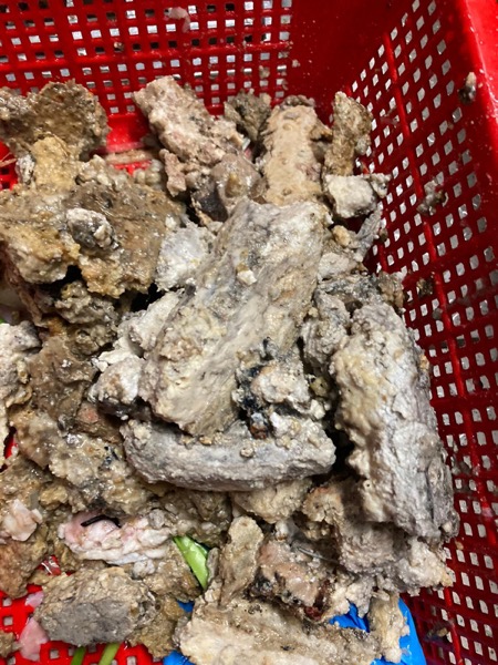 DrainFix HK 從渠管挖出嘅硬化淤泥磚石碎混合塊