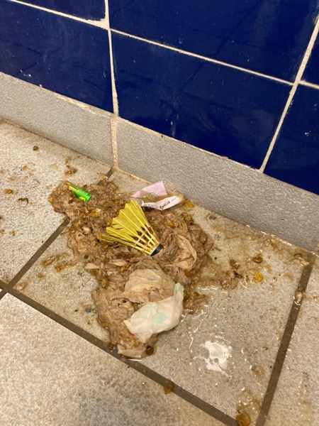 DrainFix HK 從廁所挖出嘅塞渠物:一個完整羽毛球 + 大量纖維廁紙