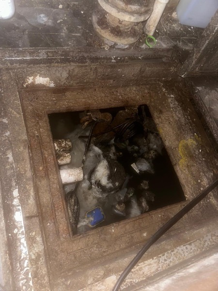 DrainFix HK 食肆地下方形 sump pit 充滿食物殘渣污水